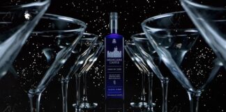 Downton Abbey Grand Finale with Highclere Castle Gin